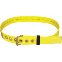 Ceinture avec boucle &agrave; ardillon Delta Equipex