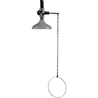 Douche d'urgence suspendue Lifesaver, Montage au plafond Equipex