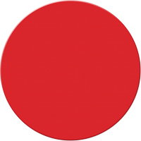 Armor Stripe Lean/5S Markers, Circle, 6" L x 6" W, Red, Plastic Equipex