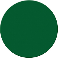 Armor Stripe Lean/5S Markers, Circle, 6" L x 6" W, Green, Plastic Equipex
