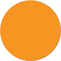 Armor Stripe Lean/5S Markers, Circle, 6" L x 6" W, Orange, Plastic Equipex