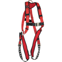 Harnais Dyna-Pro, Certifi&eacute;e CSA, Classe A, T-Grand, Cap. 400 lb Equipex