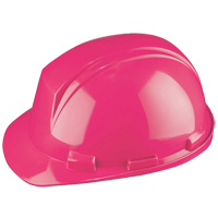 Casque Mont-Blanc de North, R&eacute;pond aux normes CSA type 2, Suspension Rochet, Non ventil&eacute; Equipex