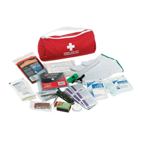 Trousse de premiers soins pour auto Dynamic, Dispositif m&eacute;dical Classe 1, Sac en nylon Equipex