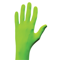 N-Dex&reg; Gloves, Small, Nitrile, 5-mil, Powder-Free, Green Equipex