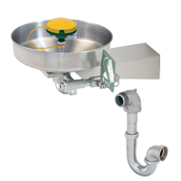 Axion&reg; Eye/Face Wash Station, Wall-Mount Installation, Stainless Steel Bowl Equipex