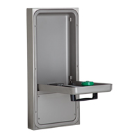 Eye/Face Wash Station, Wall-Mount Installation Equipex