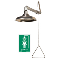 Drench Shower, Wall-Mount Equipex