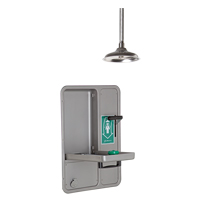 Eye/Face Wash and Shower, Ceiling-Mount Equipex