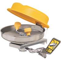 Eyewash Station, Wall-Mount Installation, Stainless Steel Bowl Equipex