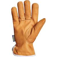 Gants de conducteur Endura, Petit, Paume en Cuir fleur de ch&egrave;vre, Thinsulate Equipex