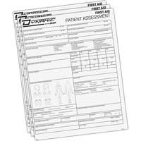 Dynamic Patient Assessment Chart Equipex
