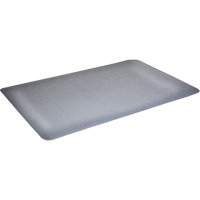 Tapis antimicrobiens WD Foodmaster, Lisse, 3' x 4' x 9/16", Gris, Nitrile/Caoutchouc Equipex