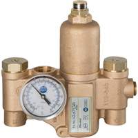 Robinet mitigeur thermostatique pour luminaires durgence Navigator EFX20, 30 gal./min Equipex