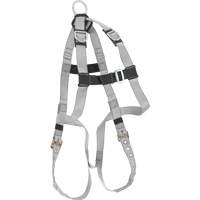 Harnais &eacute;conomique de conformit&eacute; B Dynamic, Certifi&eacute;e CSA, Classe AE, Cap. 310 lb Equipex