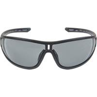 Z3000 Series Safety Glasses, Grey/Smoke Lens, Anti-Fog/Anti-Scratch, ANSI Z87+/Meets/Exceeds CSA Z94.3 Equipex