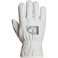 Gants de conducteur doubl&eacute;s pour l'hiver Endura, T-Grand, Paume en Cuir fleur de ch&egrave;vre, Thinsulate Equipex