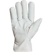 Gants de conducteur doubl&eacute;s pour l'hiver Endura, T-Grand, Paume en Cuir fleur de ch&egrave;vre, Thinsulate Equipex