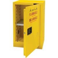 Armoire pour produits inflammables, 12 gal., 1 Porte(s), 23" La x 35" h x 18" p Equipex