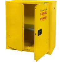 Armoire pour produits inflammables, 30 gal., 2 Porte(s), 43" La x 44" h x 18" p Equipex