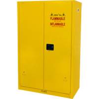 Armoire pour produits inflammables, 45 gal., 2 Porte(s), 43" La x 65" h x 18" p Equipex