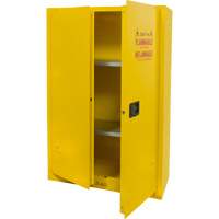 Armoire pour produits inflammables, 45 gal., 2 Porte(s), 43" La x 65" h x 18" p Equipex