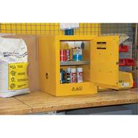 Armoire pour produits inflammables, 4 gal., 1 Porte(s), 17" La x 22" h x 18" p Equipex