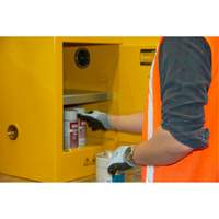 Armoire pour produits inflammables, 4 gal., 1 Porte(s), 17" La x 22" h x 18" p Equipex