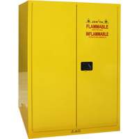 Armoire pour produits inflammables, 90 gal., 2 Porte(s), 43" La x 66" h x 34" p Equipex