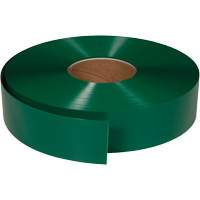 ArmorStripe&reg; Ultra Durable Floor Tape, 2" x 100', PVC, Green Equipex