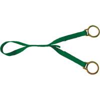 Extension avec anneau en D double, Anneau en D, Usage Temporaire Equipex