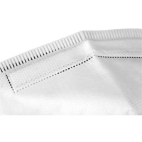 Respirateur jetable, N95, Certifi&eacute; NIOSH, Taille unique Equipex