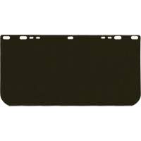 Visi&egrave;re Valuguard, Polycarbonate, Teinte Vert Equipex