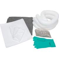 Spill Kit, Oil Only/Universal, Bag, 10 US gal. Absorbancy Equipex
