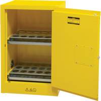 Armoire de rangement pour a&eacute;rosols inflammables, 12 gal., 1 Porte(s), 23" La x 35" h x 18" p Equipex