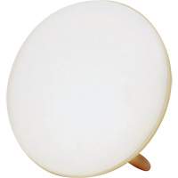 Jumbo Therapy Light for Seasonal Affective Disorder Equipex