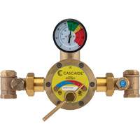 Mitigeur pour assemblage au groupe expos&eacute; d'une douche d'urgence simple ou combin&eacute;e, 56 gal./min Equipex
