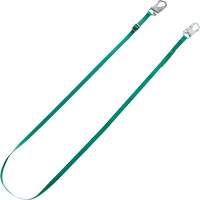 Longe de retenue Tieback V-Series, 10' Equipex