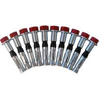 Jeu de boulons de rechange pour ancrages &agrave; anneau en D pour b&eacute;ton, Boulonn&eacute;, Usage Permanent/Temporaire Equipex