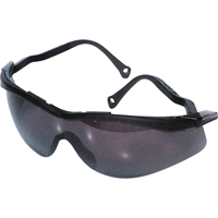 Lunettes de s&eacute;curit&eacute; North The Edge, Lentille Fum&eacute;e, Antibu&eacute;e/Anti-&eacute;gratignures, R&eacute;pond ou surpasse la norme CSA Z94.3 Equipex