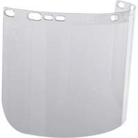 F20 Clear Moulded Faceshield Equipex