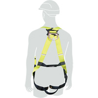 H1OO Harness, Medium/Small, 420 lbs. Cap. Equipex