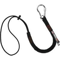 Squids 3105 Tool Lanyard, Bungee, Carabiner/Loop Equipex