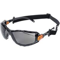 XPS502 Sealed Safety Glasses, Smoke Lens, Anti-Fog/Anti-Scratch Equipex