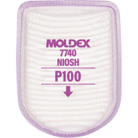 Semi-Rectangular Respirator Filter, Particulate Filter, P100 Filter Equipex