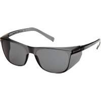 Lunettes de s&eacute;curit&eacute; Legacy, Lentille Gris, Antibu&eacute;e, ANSI Z87+/R&eacute;pond ou surpasse la norme CSA Z94.3 Equipex