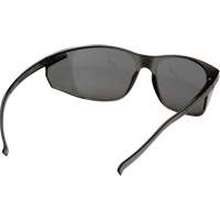 Lunettes de s&eacute;curit&eacute; Legacy, Lentille Gris, Antibu&eacute;e, ANSI Z87+/R&eacute;pond ou surpasse la norme CSA Z94.3 Equipex