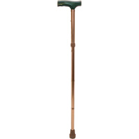 Folding Cane Equipex
