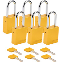 Cadenas de s&eacute;curit&eacute;, Cadenas de s&eacute;curit&eacute;, Cl&eacute;s diff&eacute;rentes, Aluminium, Largeur de 1-1/2" Equipex