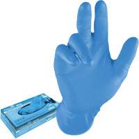 Disposable Gloves, 3X-Large, Nitrile, 8-mil, Powder-Free, Blue Equipex